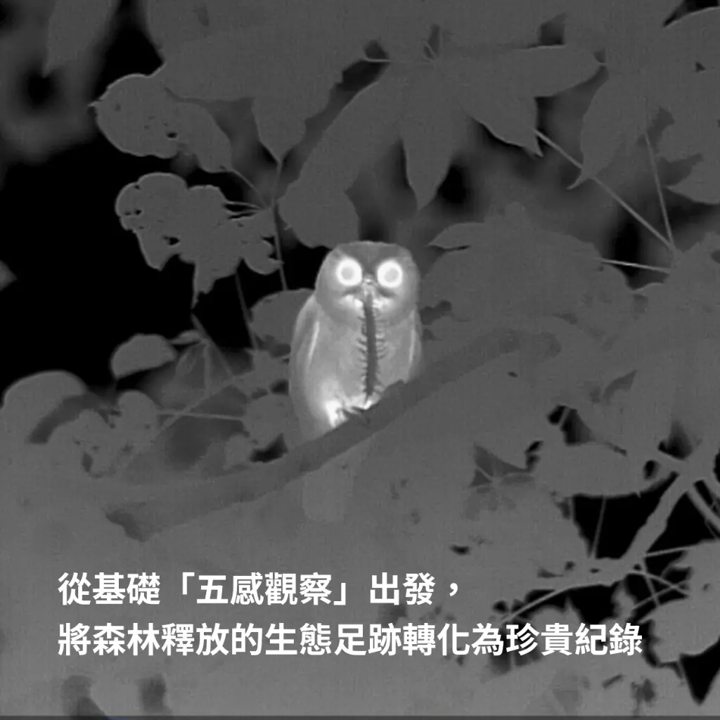 成為森林守護第一步 你也可以做得到-2.webp