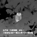 成為森林守護第一步 你也可以做得到-2.webp