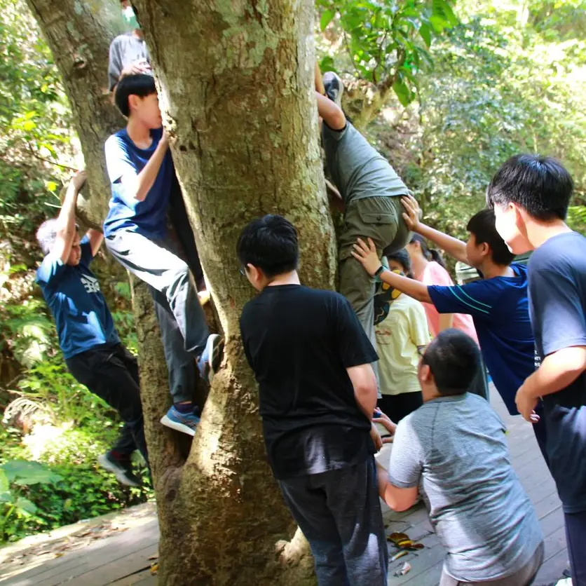 攀上百歲芒果樹 × 雙重歡樂，回憶加倍-2.webp