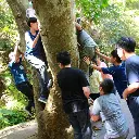 攀上百歲芒果樹 × 雙重歡樂，回憶加倍-2.webp