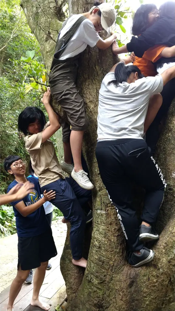 攀上百歲芒果樹 × 雙重歡樂，回憶加倍-6.webp