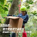 成為森林守護第一步 你也可以做得到